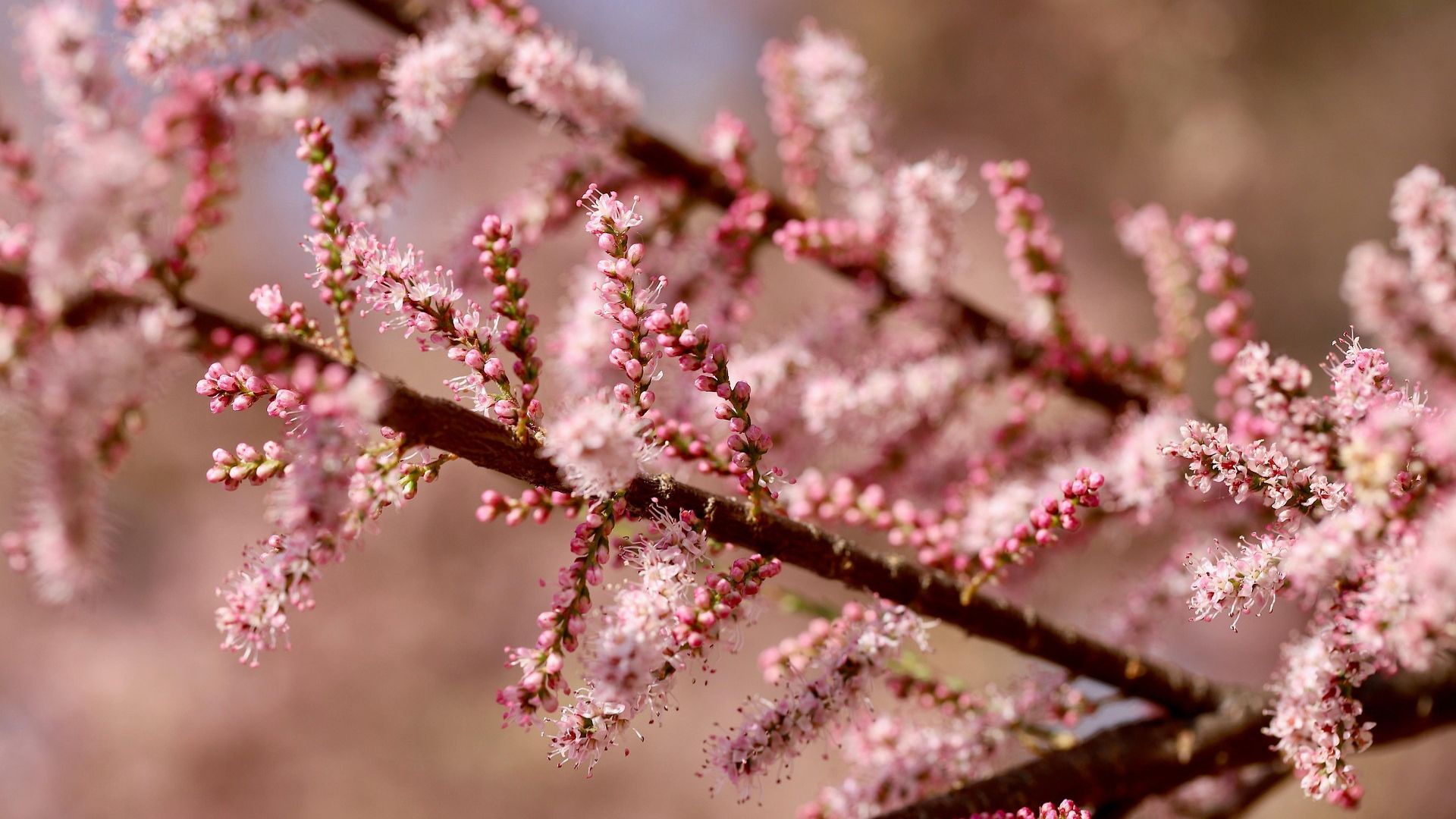 Rise & Bloom – Eine Reise mit Kakao, Meditation & Yoga